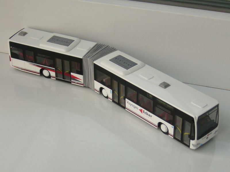 JUCARII-0713.jpg
