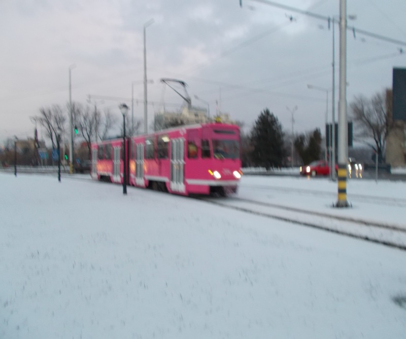 KT4D204.JPG