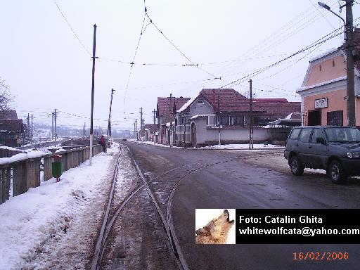 LINII-0007.jpg