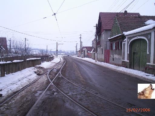 LINII-0010.jpg