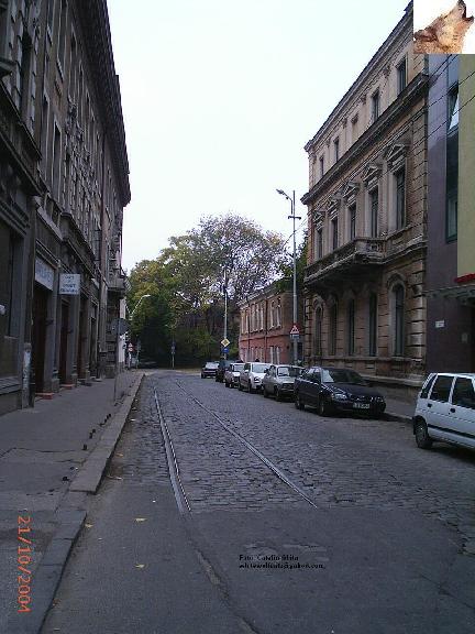 LINII-0066.jpg