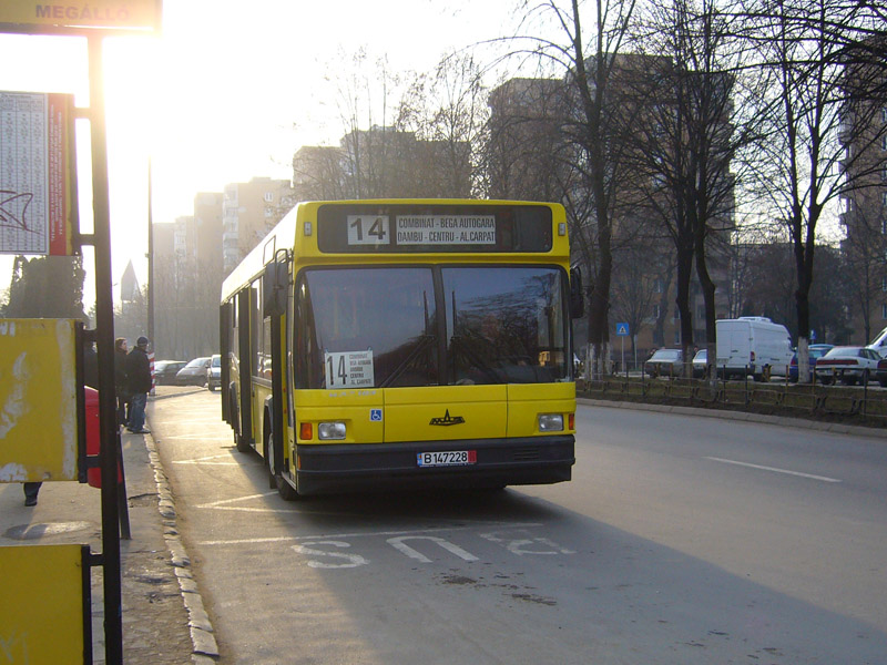 maz3.jpg