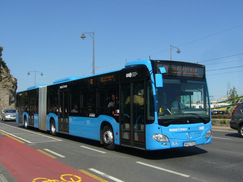 MHU-701P1480338.JPG