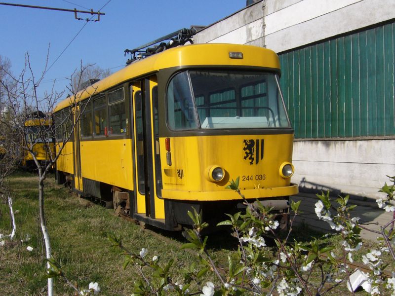 N 244 036-P1160259.jpg