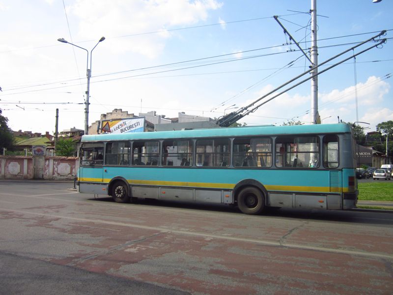 Nesimtire romaneasca,8 iulie 007.jpg