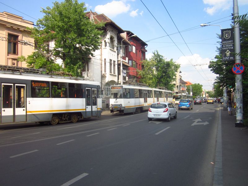 Nesimtire romaneasca,8 iulie 017.jpg