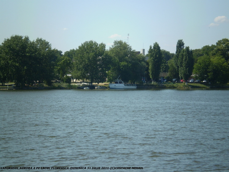 P1010136.jpg