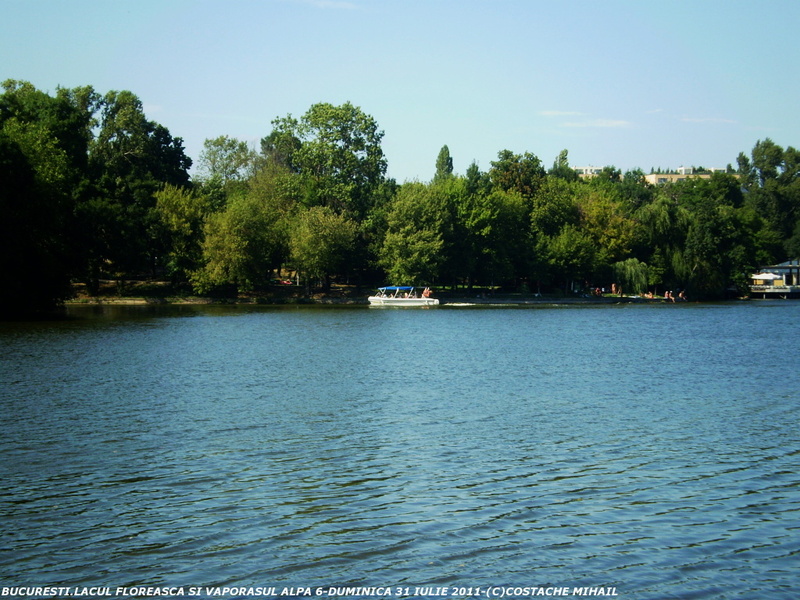 P1010156-1.jpg