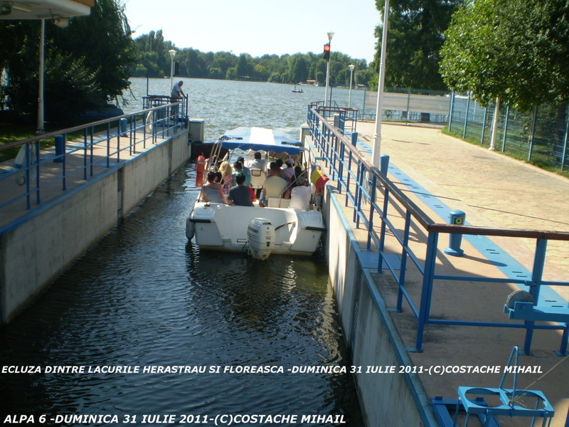 P1010163-1.jpg
