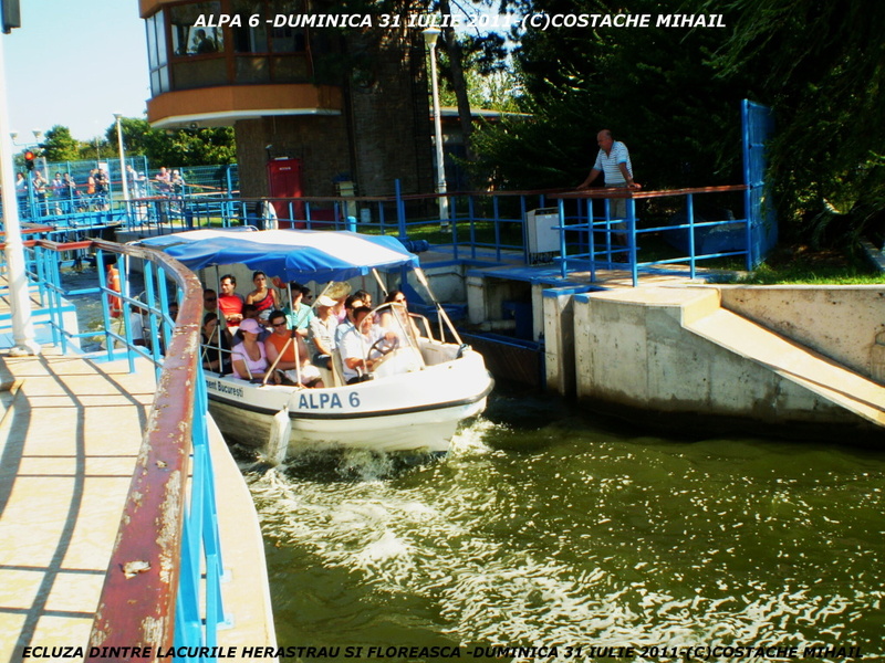 P1010164-1.jpg