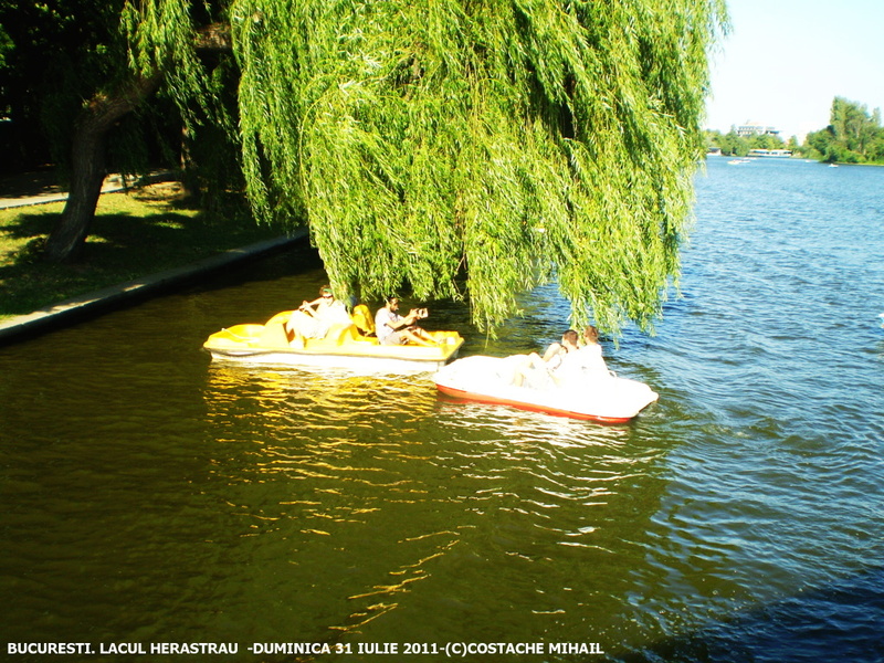 P1010172-1.jpg