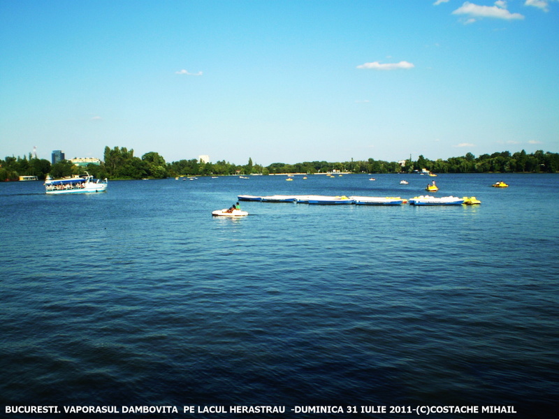 P1010182-1.jpg