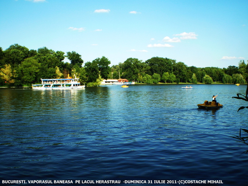 P1010184-1.jpg