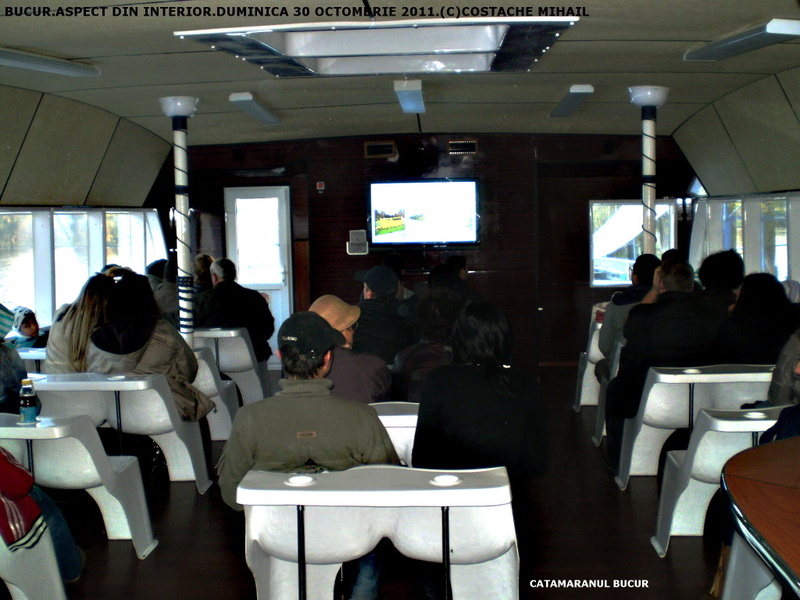 P1010206.jpg
