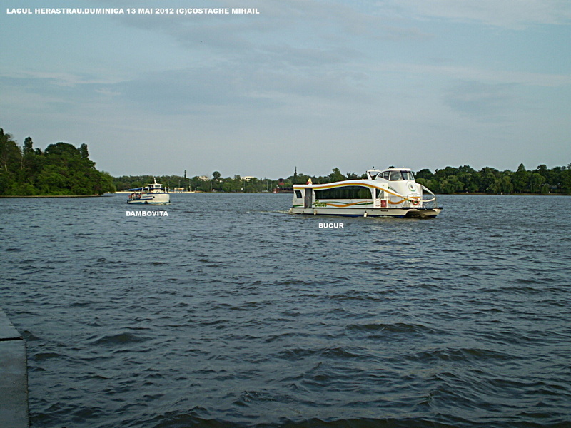 P1010214-2.jpg