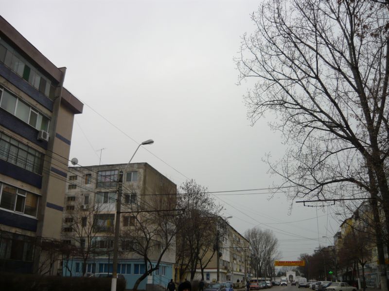 P1010425.JPG