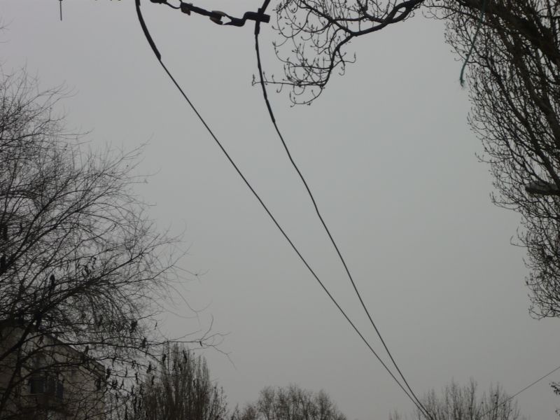 P1010443.JPG