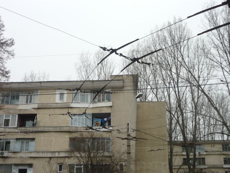 P1010460.JPG