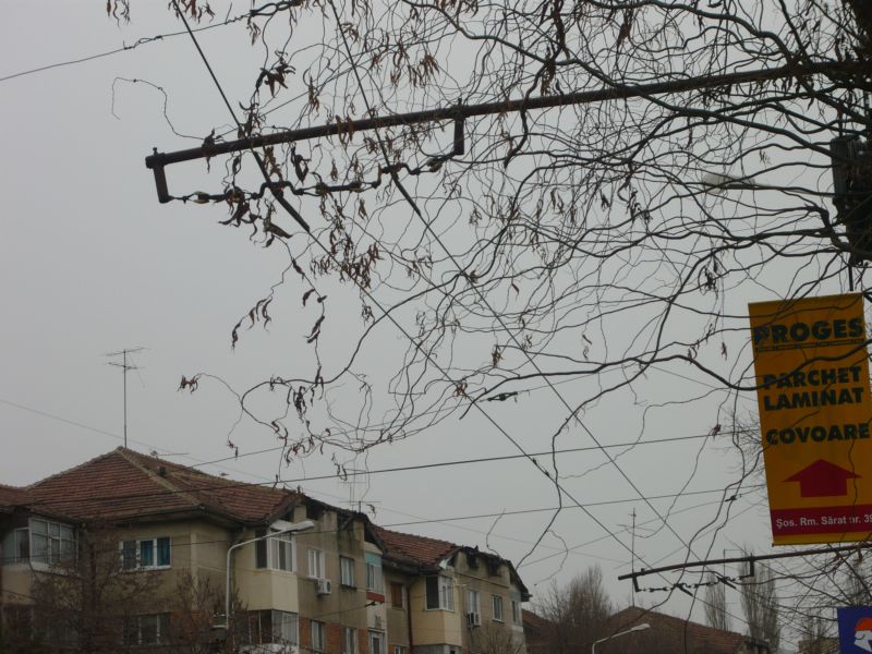 P1010483.JPG