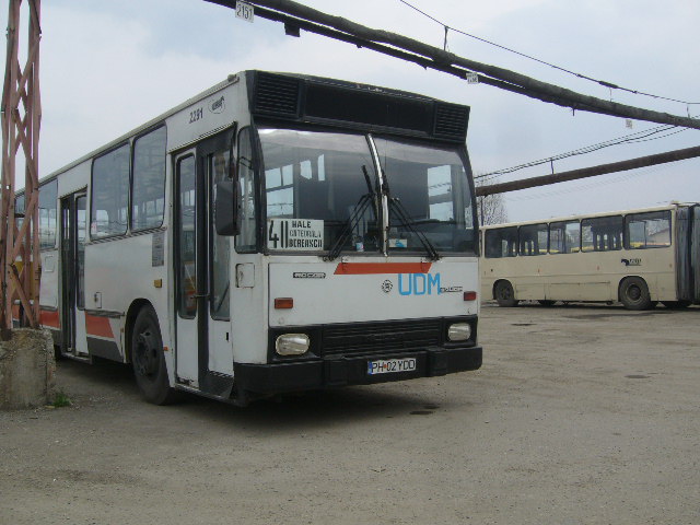 P1020425.JPG