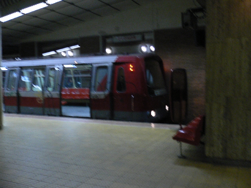 P1040833.JPG