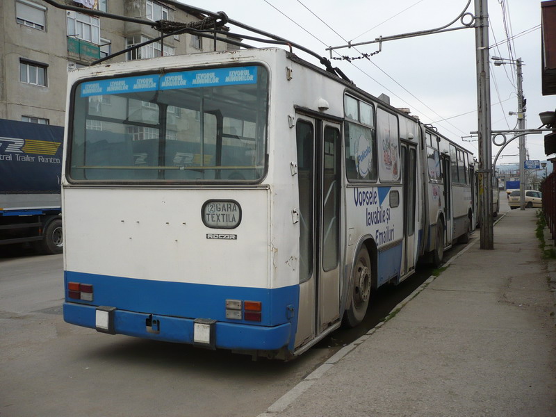 P1050374.jpg