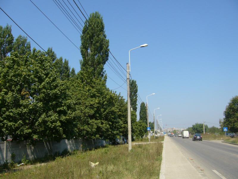 P1090455.jpg
