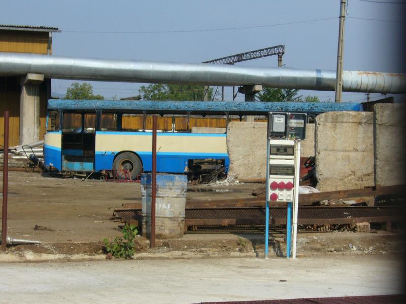 P1100100.jpg