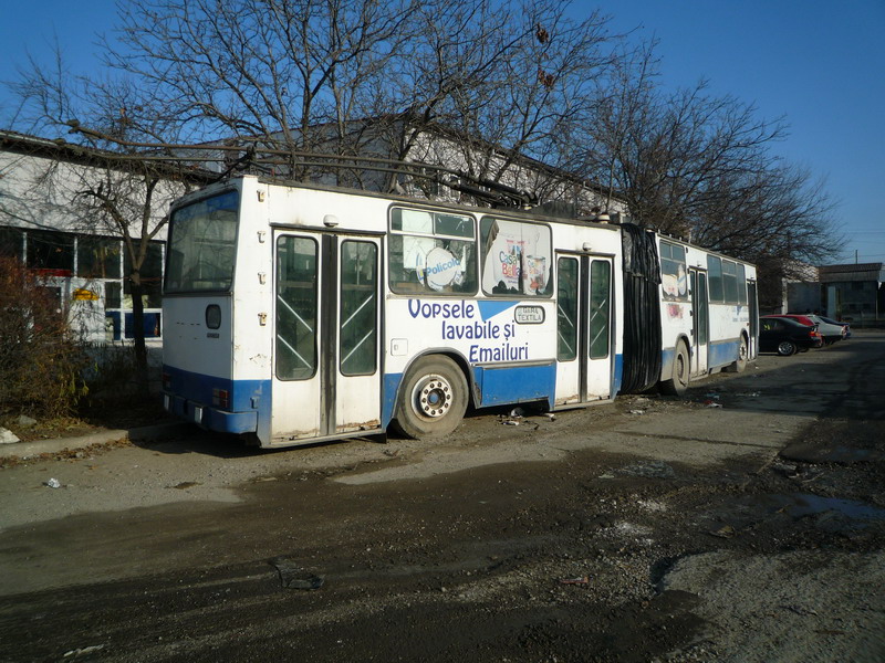 P1100657.jpg