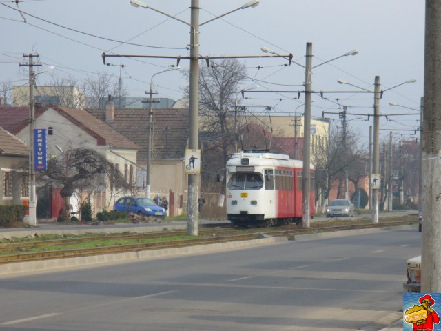 P1110171.jpg
