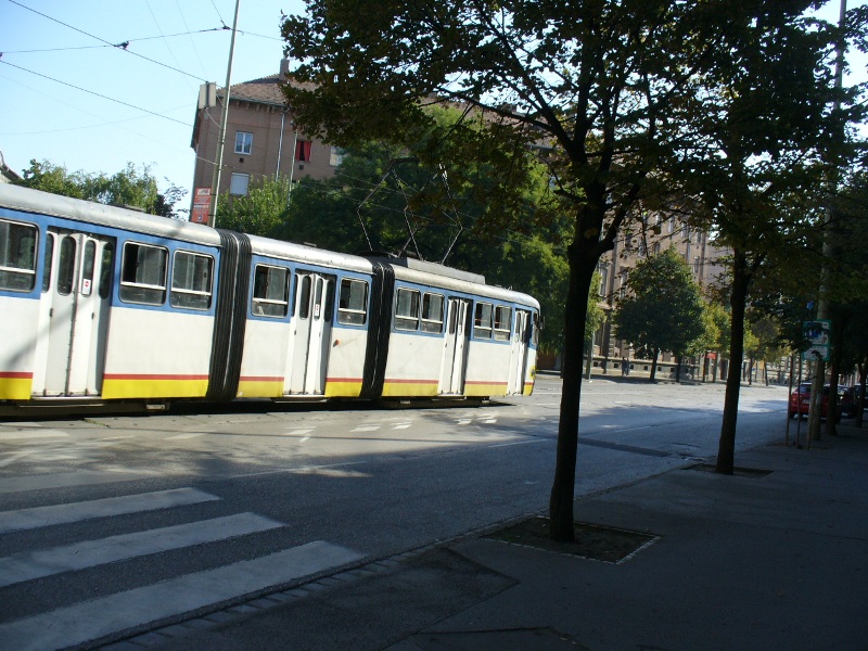 P1130358.JPG