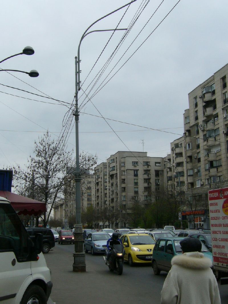 P1160567.jpg