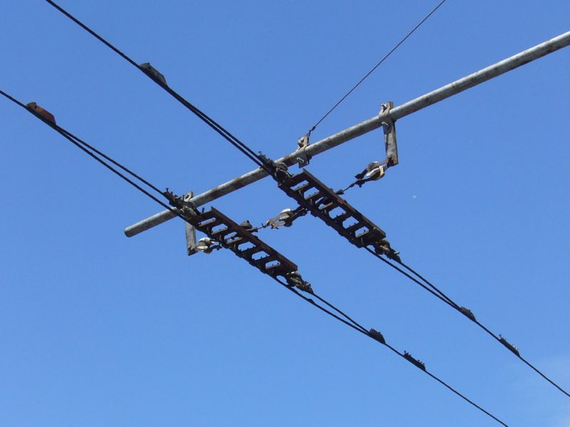 P1190284.jpg