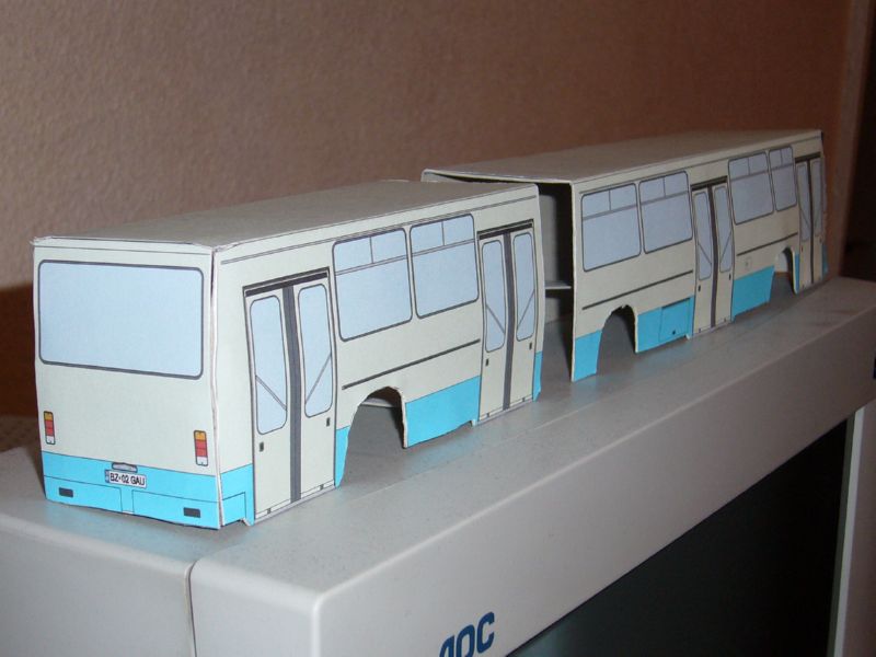 P1300720.jpg
