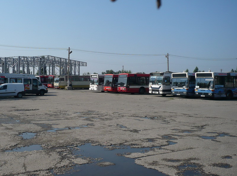 P1320474.jpg