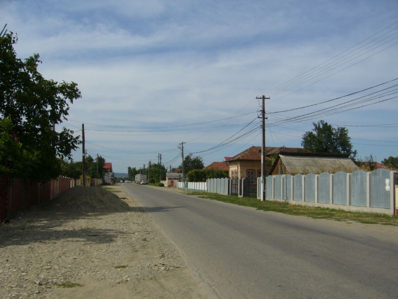 P1350069.jpg