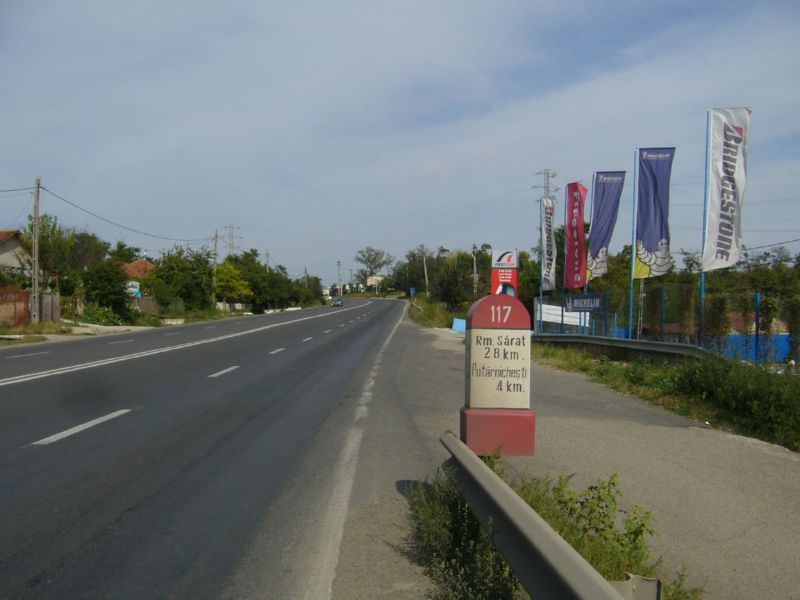 P1350135.jpg