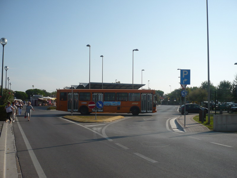 P1360654.jpg