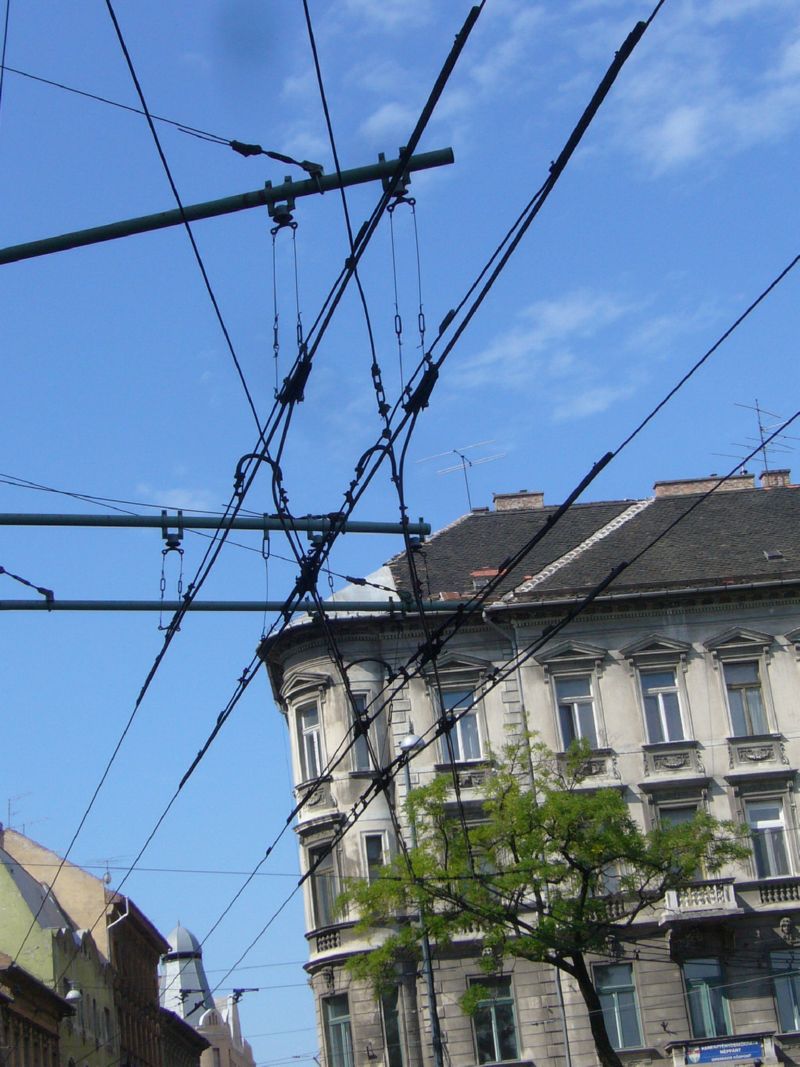 P1370679.jpg