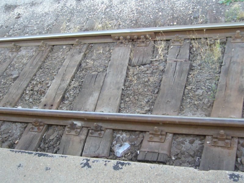P1380588.jpg