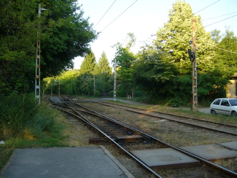 P1380612.jpg