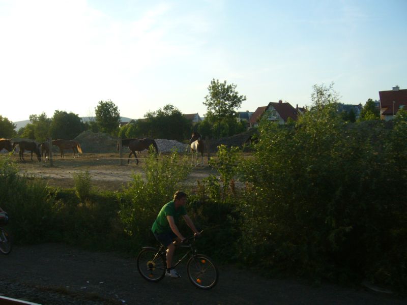 P1380630.jpg