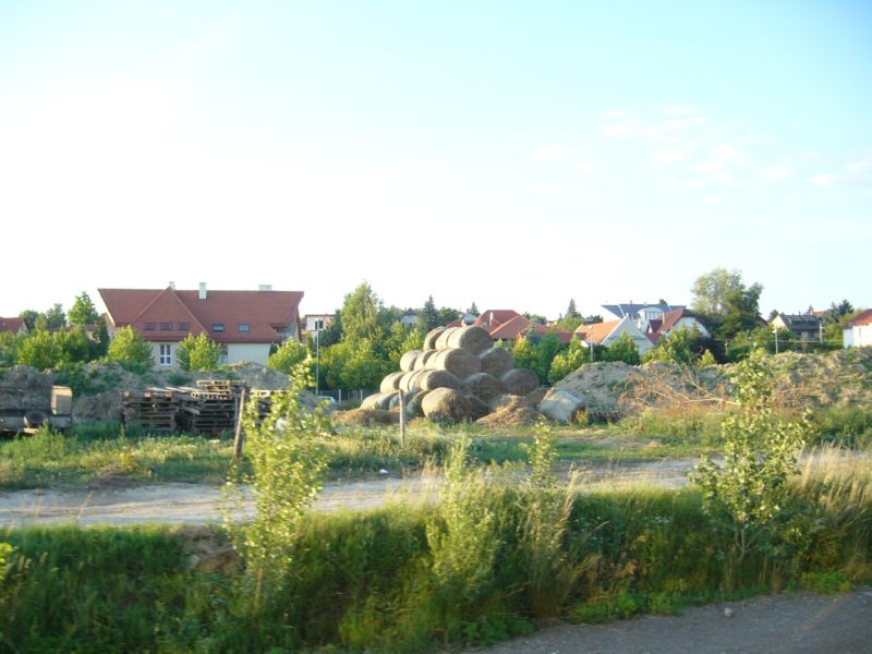 P1380631.jpg