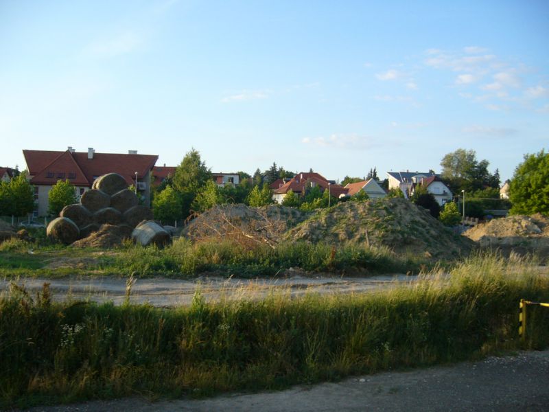 P1380632.jpg