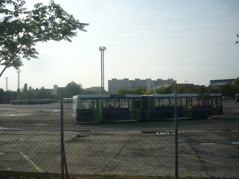 P1380933.jpg
