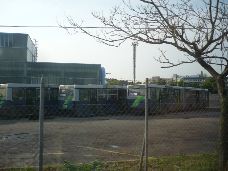 P1380935.jpg