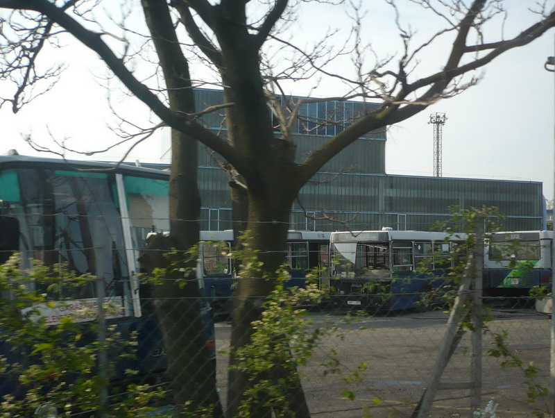 P1380936.jpg