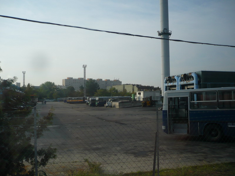 P1380938.jpg