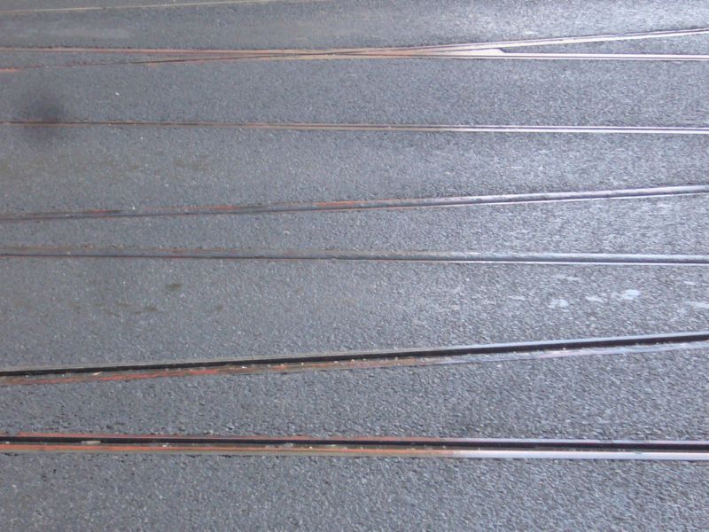 P1450015.jpg