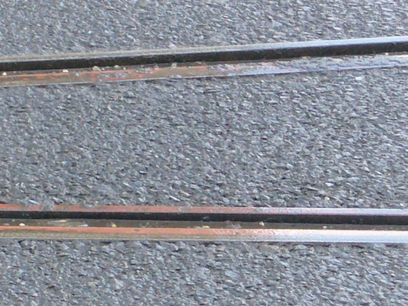 P1450017.jpg